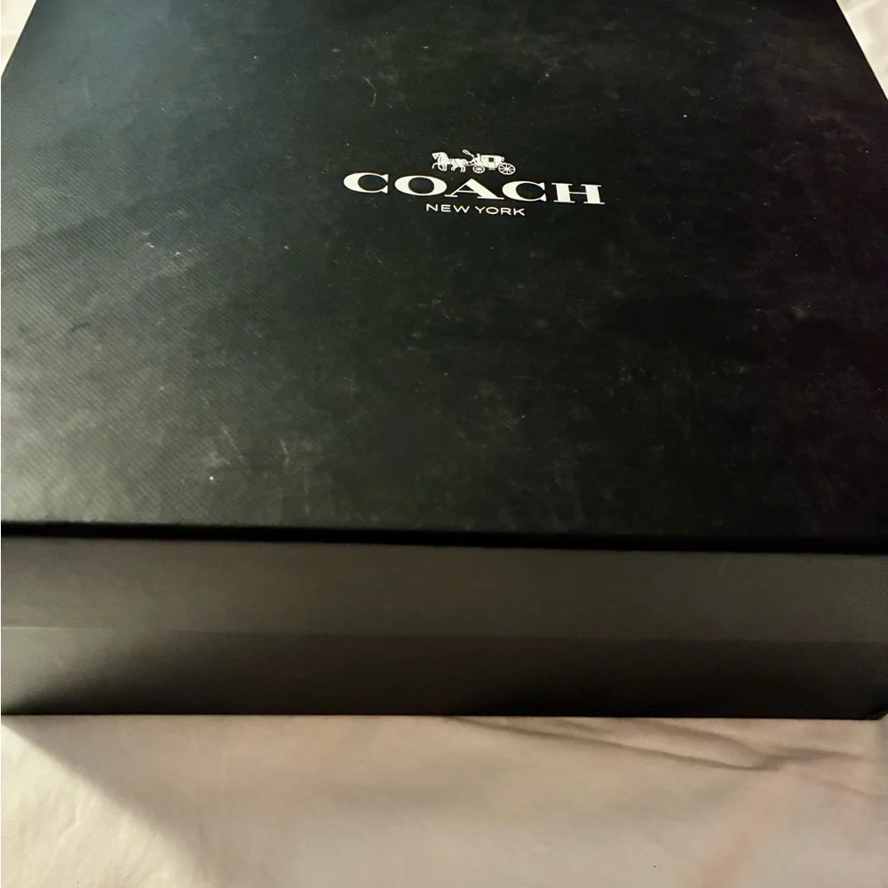 EUC Coach *Marla* Patent Leather Heels with Gold Accent Stacked Heel - Picture 12 of 12